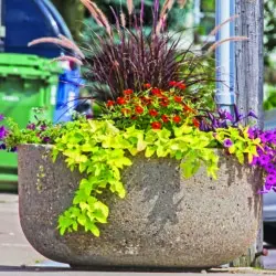 Colorful flower arrangement in a large planter on a sidewalk.