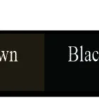 Powder coat colors: White, Tan, Bronze, Brown, Black, Royal Blue, Evergreen, Hunter Green.