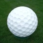 Golf ball on green grass.