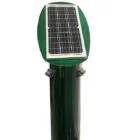 Solar-powered street light on a green pole.