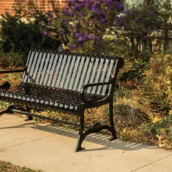 Black metal bench on sidewalk near flowers and shrubs.