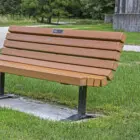 Bench in park setting.