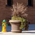 A colorful outdoor scene featuring a beige planter with tall grasses and flowers next to a yellow fire hydrant.