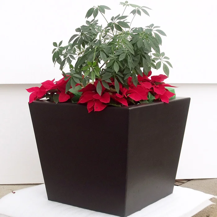 Black planter with red flowers and green foliage.