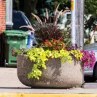Flower pot on sidewalk with colorful flowers and tall grasses.