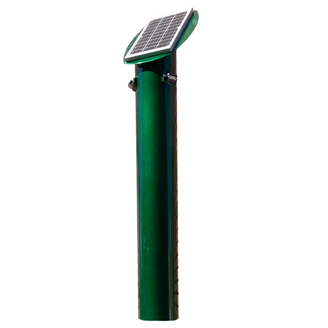 Solar-powered street light on a green pole.