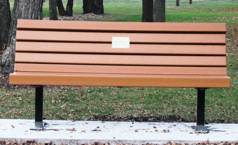 Park bench in autumn setting.