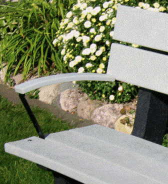 White bench in a garden setting.